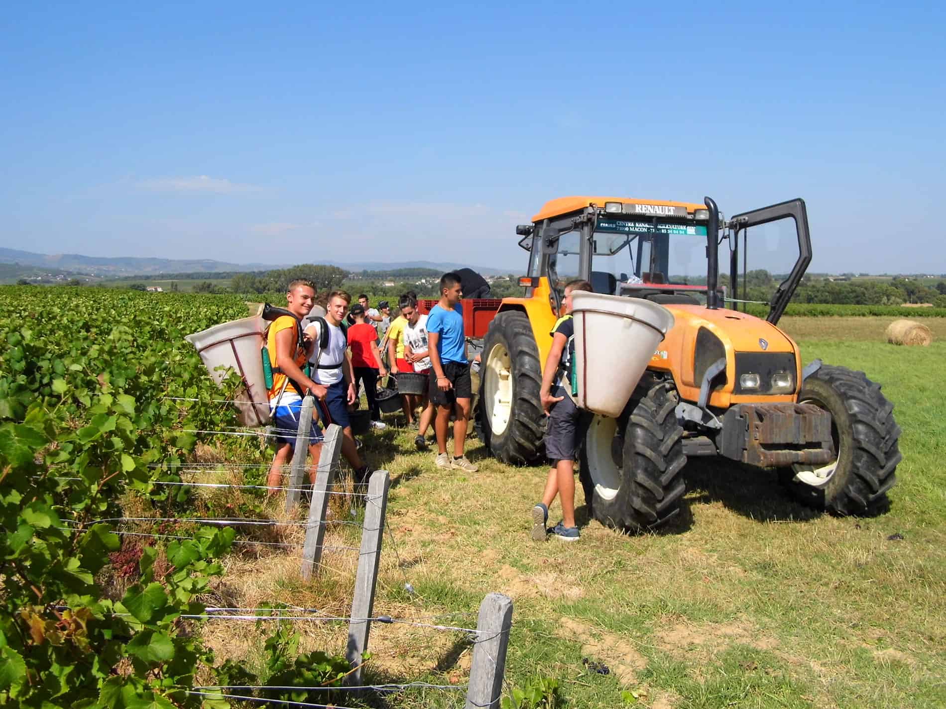 Lycee Bel Air Vendanges