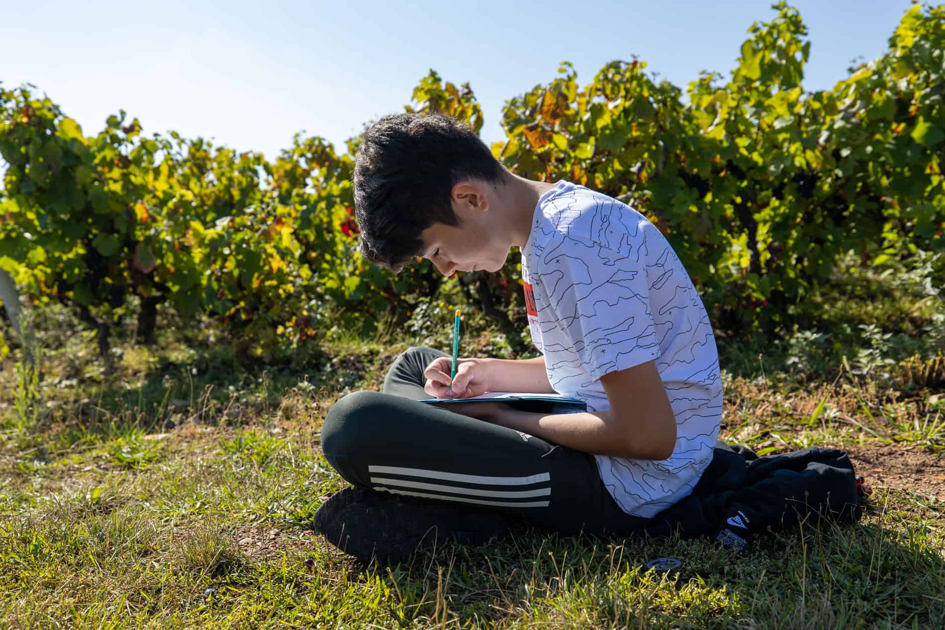 Lycee Bel Air Viticulture Enseignement